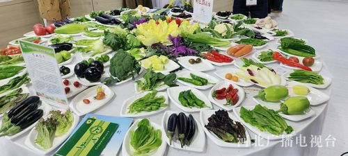 河北农产品缘何走俏中国农交会——聚焦初级农产品的独特魅力