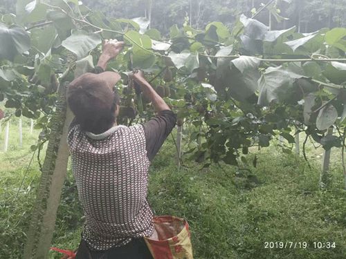 我市五家企业喜获“安徽省大学生返乡创业示范基地（园）”称号，聚焦初级农产品发展