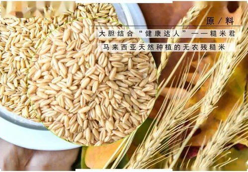 唤醒春日活力 纯天然糙米咖啡，无添加的健康提神之选