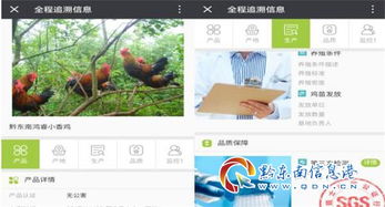 凯里 数字农业驱动乡村振兴，信息引领初级农产品现代化发展