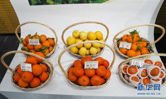 重庆长寿 以“慢”为笔，绘就农旅融合新画卷