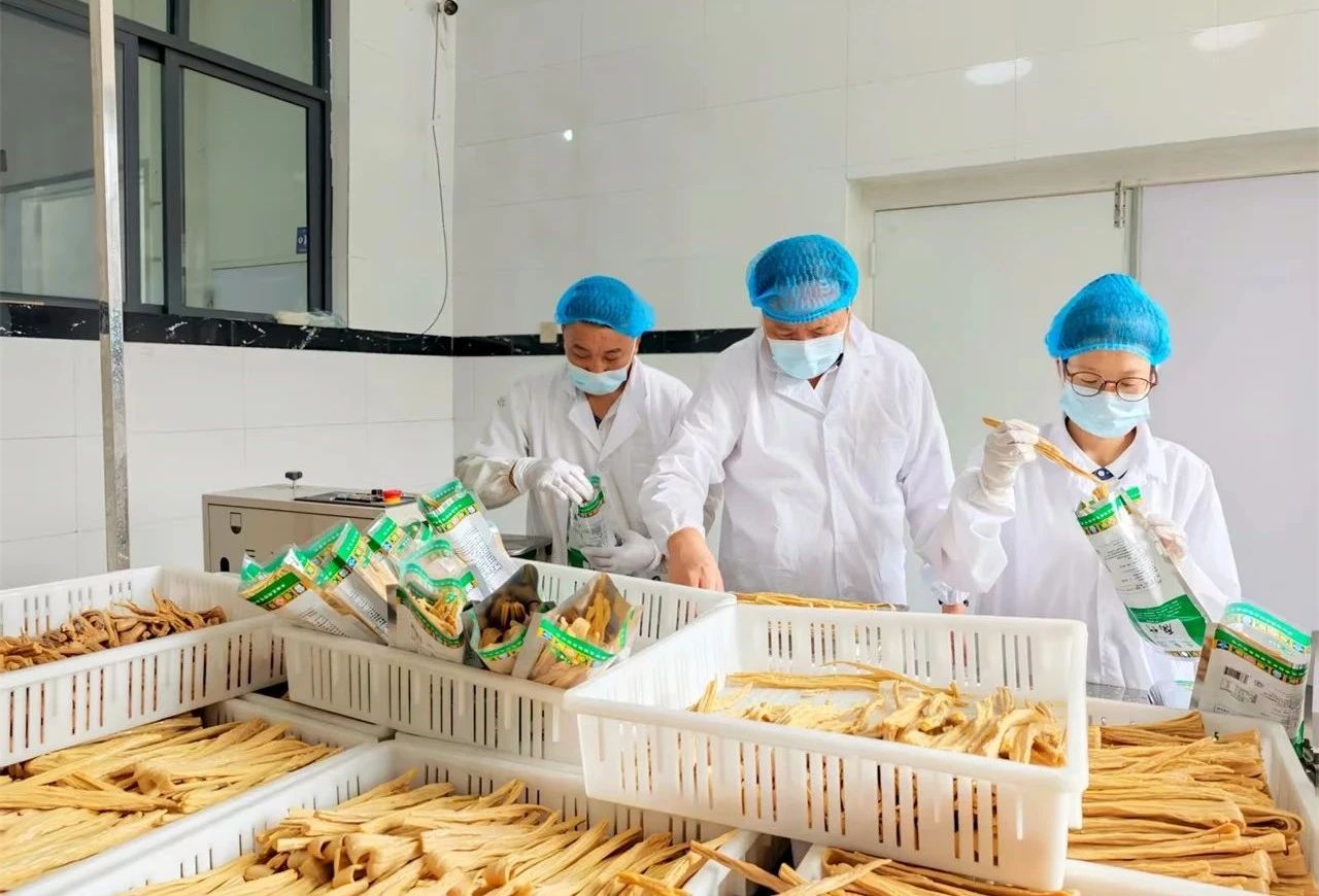 舟曲 “好粮食”变身“好产品” 小杂粮撑起富民大产业